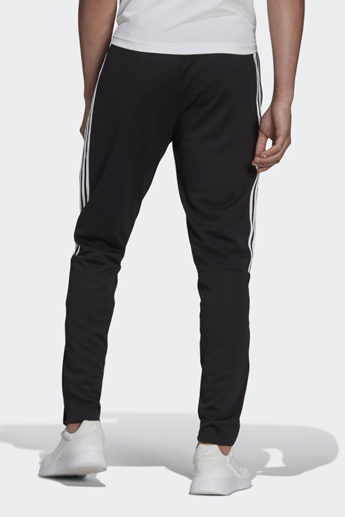 adidas H28909 M SERENO PT ERKEK EŞOFMAN ALTI