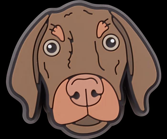 crocs 10009813-1 BRONNY DOG JIBBITS CROCS SÜS TOKA