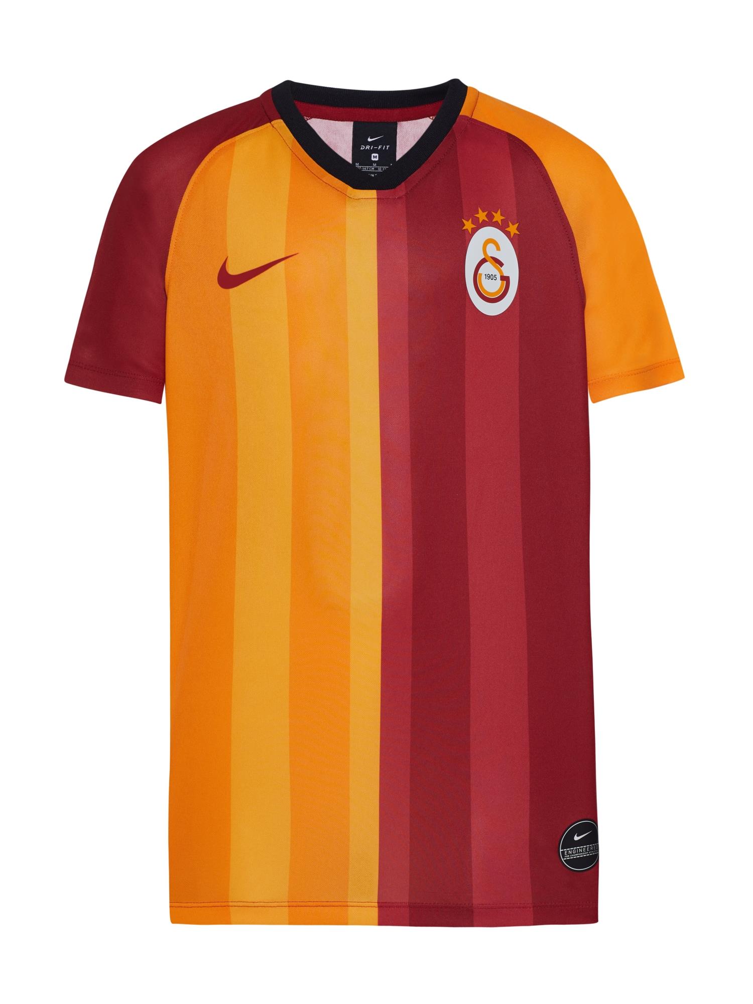 Nike AO1957-628 GALATASARAY 2019-20 HOME ÇOCUK TARAFTAR FORMASI