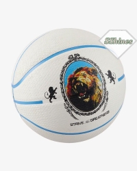 nike N.100.4372.086.07 PLAYGROUND 2.0 8P L JAMES BASKETBOL TOPU