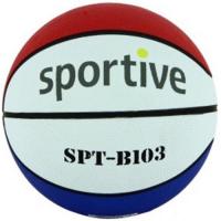 Sportive SPT-B103 MIX MİNİ BASKETBOL TOPU